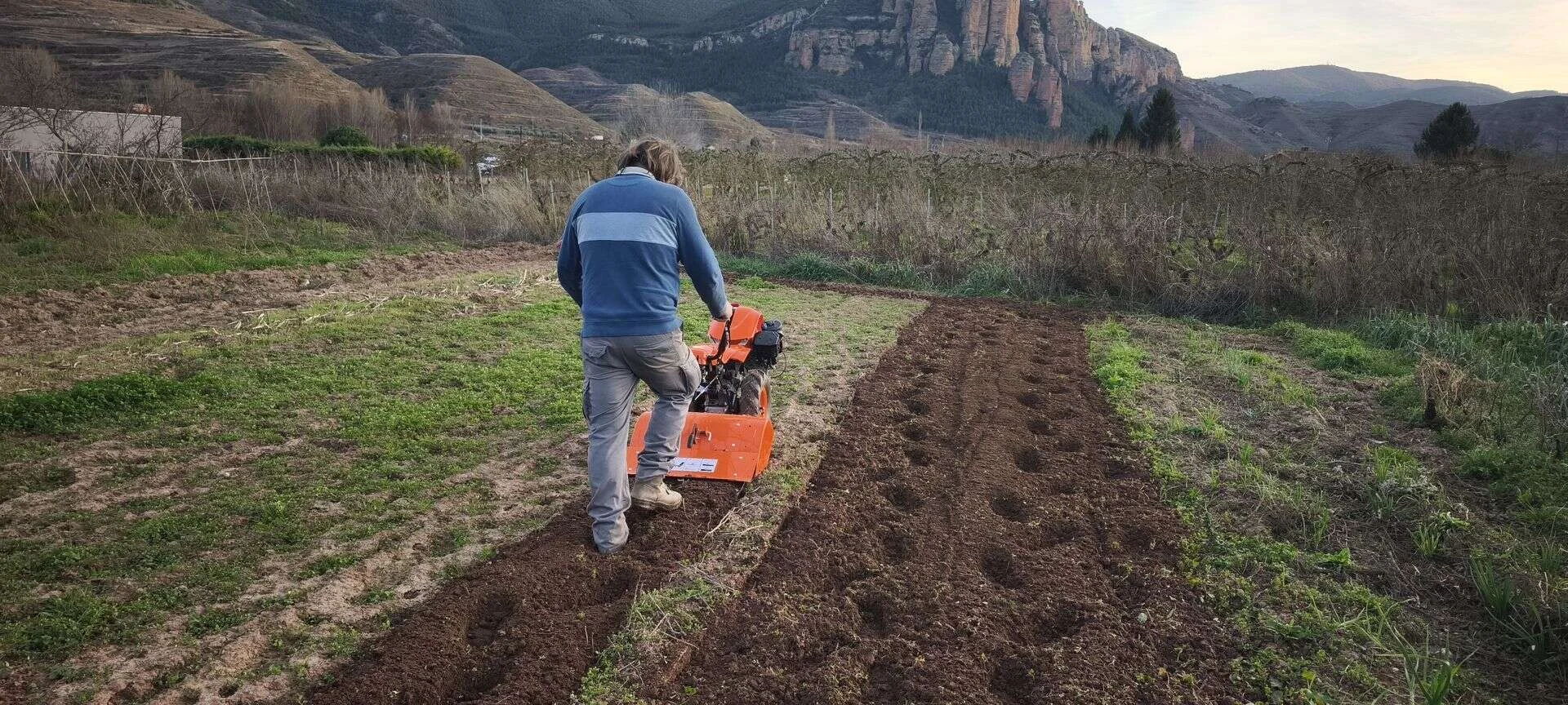 Jorge Lázaro trabajando con un motocultor en una parcela de La Rioja