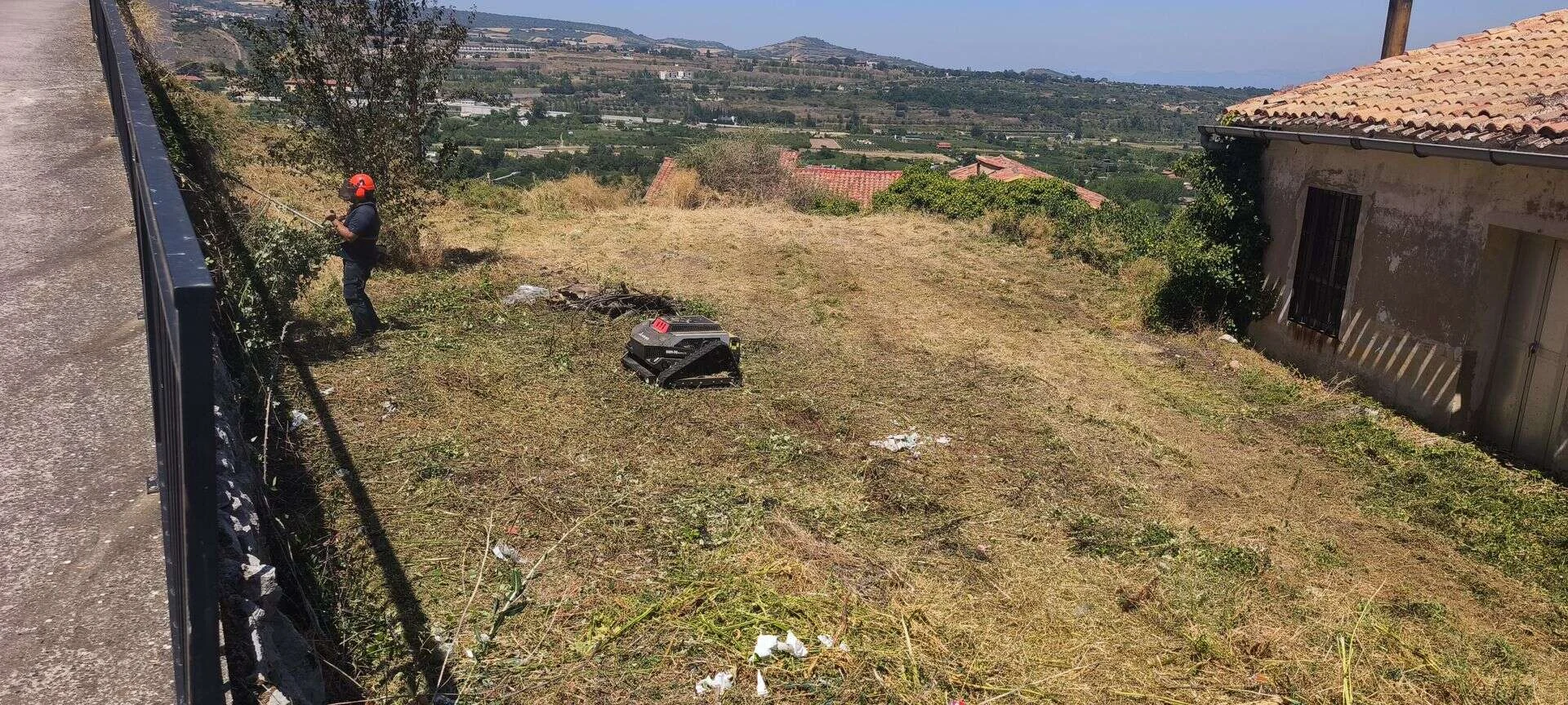 Finca desbrozada y limpia