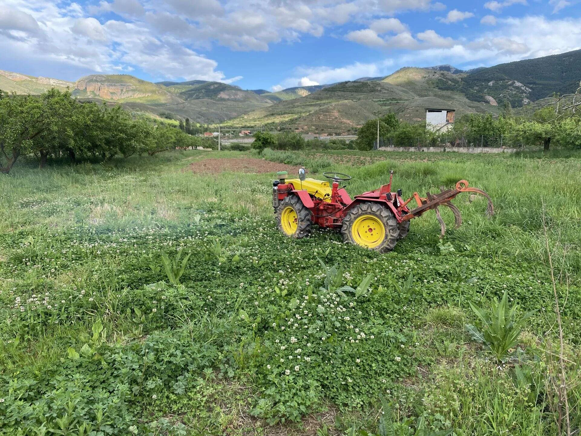 Mantenimiento de parcela con tractor
