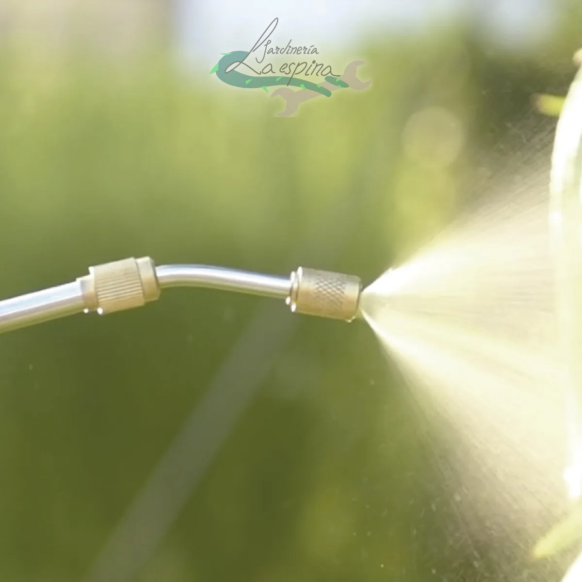 Pulverizador de batería ANOVA P05C de 5 litros con lanza, mango con pantalla LED y correa - vista 3